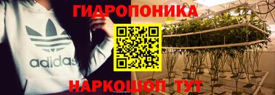 ECSTASY Пенза